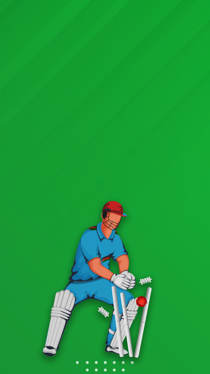 Top 5 Fastest Stumping Record