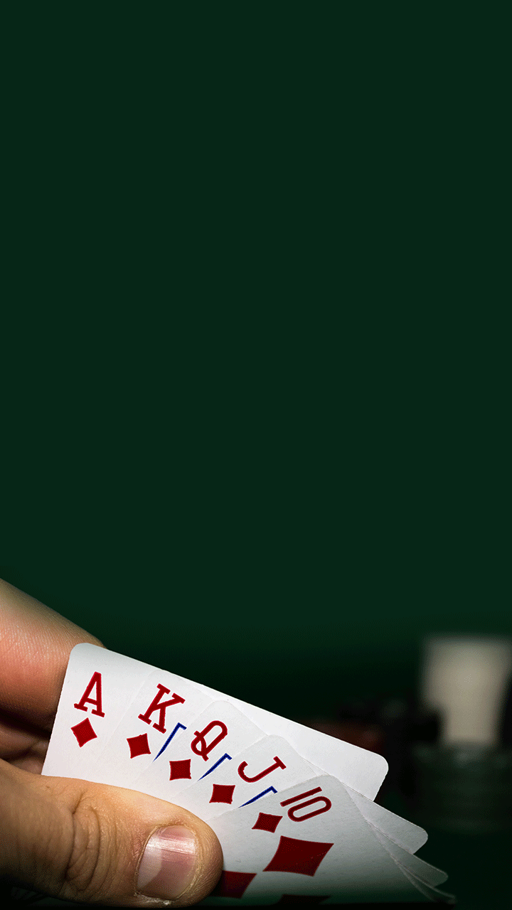 How to play 28 Card Game?